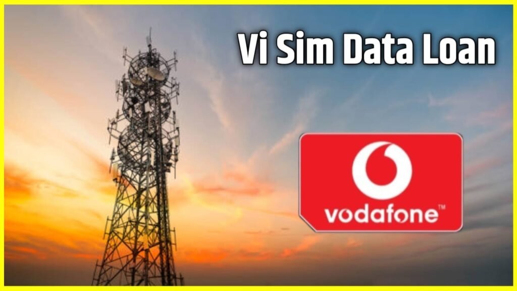 Vi Data Loan Number