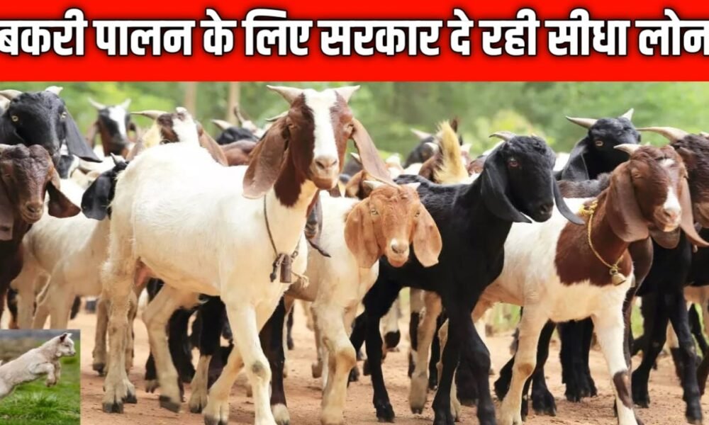 बकरी पालन लोन
