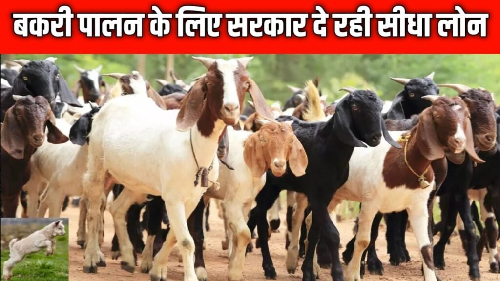 बकरी पालन लोन